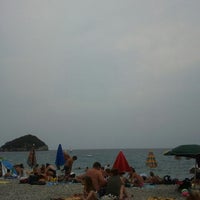 Pluto Beach Di Spotorno Una Spiaggia Attrezzata Per Cani