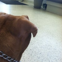 Photo taken at Canyon Pet Hospital by Chris S. on 6/19/2012