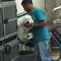 Photo taken at Midas Dog by Marcelo C. on 3/19/2012
