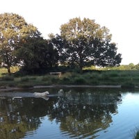 Photo taken at Richmond Doggy Pond by Ania P. on 8/18/2012