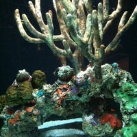 Photo taken at National Aquarium by Patricia W. on 5/7/2012