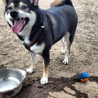 Photo taken at Hope Dog Park by Daniel F. on 6/11/2012