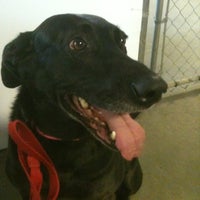 Atlanta Pet Rescue Office