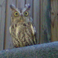 Das Foto wurde bei Audubon Center for Birds of Prey von Nicole C. am 4/21/2012 aufgenommen