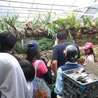 Kasimanis Strawberry Farm 7 Tips