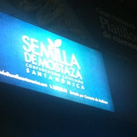 Semilla De Mostaza Santa Monica - Church