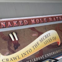 Photo taken at Naked Mole Rat Playground by j p. on 9/3/2012