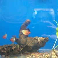 Photo taken at Albany Aquarium by Gabriella S. on 4/21/2012