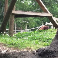 Photo taken at Orangutan Exhibit by Heather E. on 4/20/2012