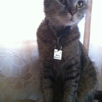 Photo taken at cats&amp;#39;me.space by Emprang A. on 3/17/2012