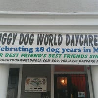 9/4/2012 tarihinde Tony S.ziyaretçi tarafından Doggy Dog World Daycare'de çekilen fotoğraf