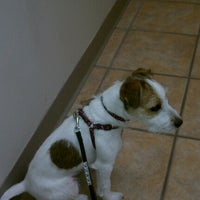 Creature Comforts Veterinary Hospital 3 Tips From 131 Visitors