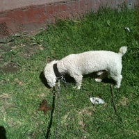 Photo taken at @nicolas leon parque para perros by Richy C. on 6/12/2012