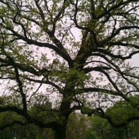 รูปภาพถ่ายที่ Pioneer Park โดย DirtMan23 เมื่อ 4/14/2012