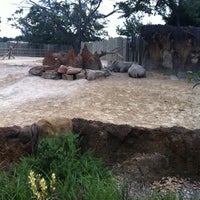 Photo taken at White Rhinoceros Exhibit @ Houston Zoo by Tandy D. on 8/8/2012