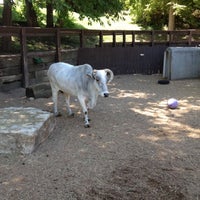 Red Barn Park Petting Zoo Fossil Dig Omaha Ne