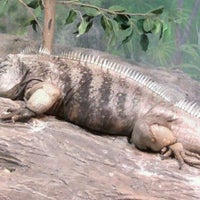 Photo taken at Aquatic &amp;amp; Reptile Center by Steve S. on 5/6/2012