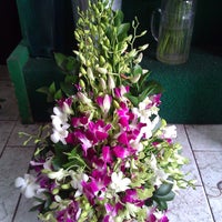 5/20/2012에 Muttay M.님이 Star Cactus에서 찍은 사진