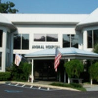 Animal Hospital of Pensacola - Northeast Pensacola - 2 tips from 53