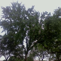 Photo taken at Shady Tree Outside of Air &amp;amp; Space Museum by Chad M. on 5/1/2012