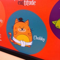 vca anderson animal hospital