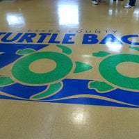 Coupon turtle back zoo