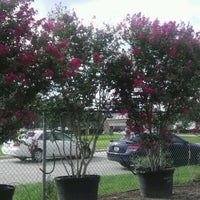 Verdant Tree Farm Building In Houston