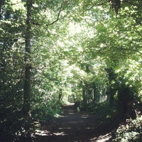 Photo taken at Oxshott Woods by Andrew H. on 8/18/2012