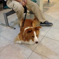Photo taken at Mount Pleasant Veterinary Centre by Suzie K. on 5/23/2012