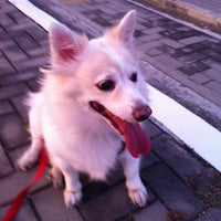 Photo taken at Dog park by Kae na M. on 4/21/2012