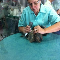 Photo taken at Pet do Bred by Fabiola R. on 2/17/2012
