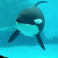 名古屋港水族館 Port Of Nagoya Public Aquarium 港区 45 Tips