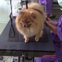 Photo taken at The Dog Grooming &amp; Spa@Homepro Rama II by ann s. on 2/12/2012