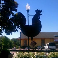 Photo taken at Wild Chicken Coffee by Squid R. on 7/29/2012
