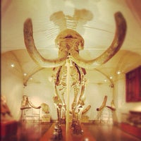 Foto scattata a Museo di Storia Naturale, Sezione di Geologia e Paleontologia da Museo Storia Naturale il 8/3/2012