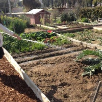 Photo taken at El Sereno Community Garden by Darin on 2/18/2012