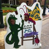 Foto scattata a Black Swamp Arts Festival da Heather il 9/10/2012