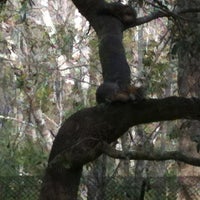 Image added by Valerie S at Red Fox Exhibit @ Brookgreen Garden Zoo