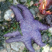 Photo taken at West Seattle Reef by Karl d. on 7/3/2012