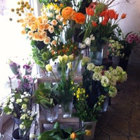 Kusa 小樽市 北海道