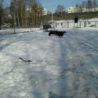 Photo taken at Louhenpuiston koira-aitaus by jenni k. on 4/5/2012