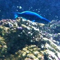 Photo taken at Kipp Memorial Aquarium by Tandy D. on 8/8/2012
