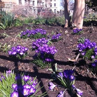 Photo taken at Grant Square by Margaret on 3/11/2012
