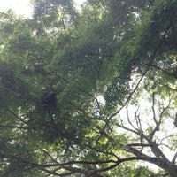 Photo taken at 泉谷公園 by Kevin on 7/29/2012