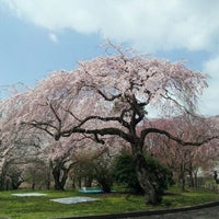 榴岡公園 Tsutsujigaoka Park 仙台市 宮城県 榴岡公園 Tsutsujigaoka Park 仙台市 宮城県
