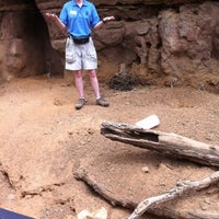 Photo taken at Meerkat Habitat by Andy O. on 8/4/2012