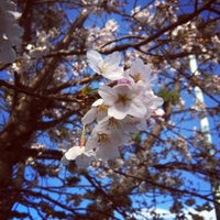 石屋川公園 御影 146 Visitors