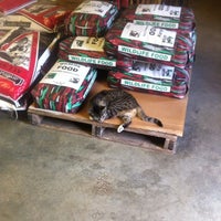 Rabbit box store feed store