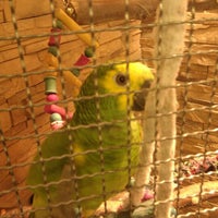 Photo taken at Pet Center by turms on 3/31/2012