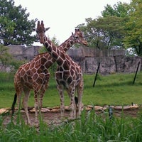 Photo taken at The Giraffe Exhibit by Mike T. on 4/28/2012